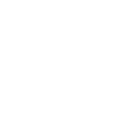 payment protection